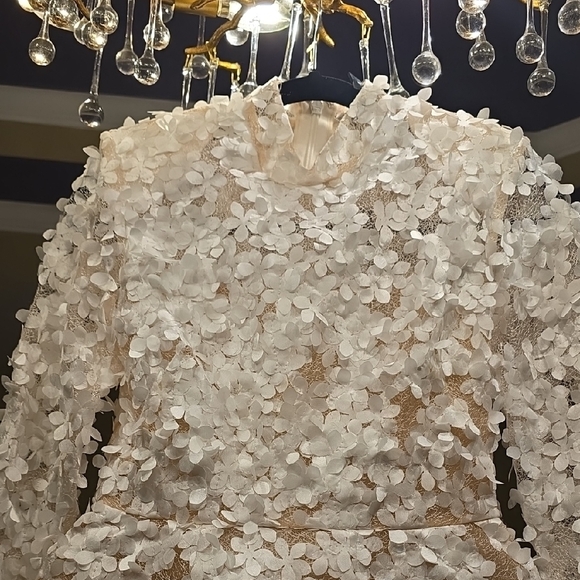 BCBGMaxAzria Ivory Lace Long Sleeve Dress 3D Flowers - Picture 4 of 16